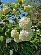 Apartamentos Rurales Villa de Saín