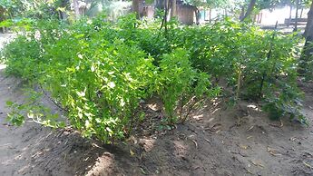 D&J Stamford Hotel - Hostel