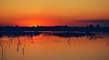 Unlimited Luxury Lodge in Kasane