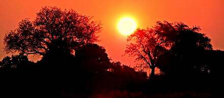 Unlimited Luxury Lodge in Kasane