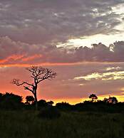 Unlimited Luxury Lodge in Kasane