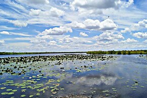 Unlimited Luxury Lodge in Kasane