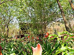 Unlimited Luxury Lodge in Kasane