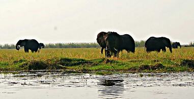 Unlimited Luxury Lodge in Kasane