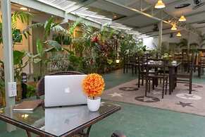 Sky View Bed & Breakfast