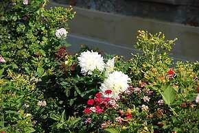 Agriturismo Frangivento