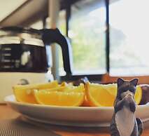 Jinguashi Cloud Mountain Homestay B&B