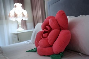 Campestral Garden B&B