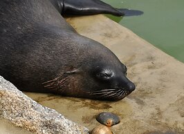 Tresowes Green Cottage