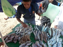 Le Jardin aux Etoiles