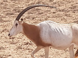 Le Jardin aux Etoiles
