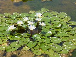 Le Jardin aux Etoiles
