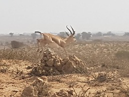 Le Jardin aux Etoiles