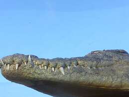 Le Jardin aux Etoiles