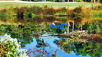 St James Bay Golf & Pickleball Resort