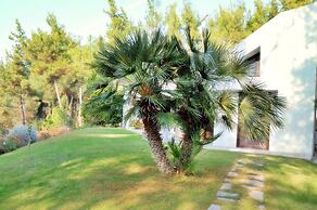 Sani Cape Villas - Stamatiadis