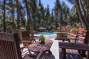 Sani Cape Villas - Stamatiadis