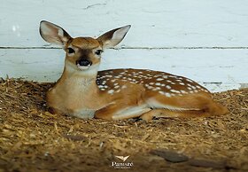 Hotel Boutique Y Restaurante Panisté