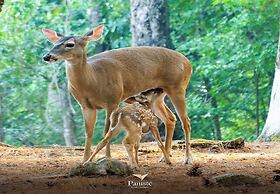 Hotel Boutique Y Restaurante Panisté