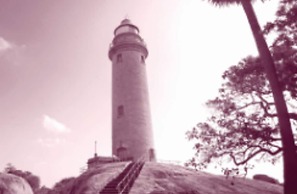 Four Points by Sheraton Mahabalipuram Resort & Convention Center