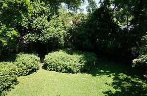 The Hideaway Natchez