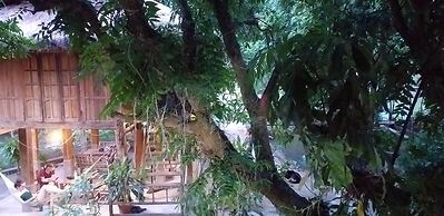 Linh Soi Homestay - Hostel