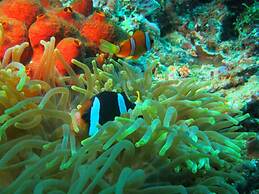 Eco Beach Tent by Billiton