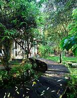 Taomi Guesthouse