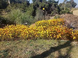 Kleineweide Guest House