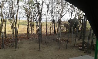 Warthogs Safari Camp