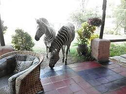 Warthogs Safari Camp