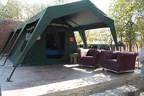 Warthogs Safari Camp