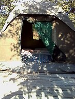 Warthogs Safari Camp