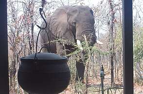 Warthogs Safari Camp