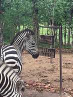 Warthogs Safari Camp