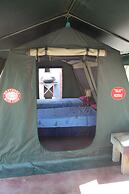 Warthogs Safari Camp