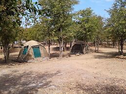 Warthogs Safari Camp