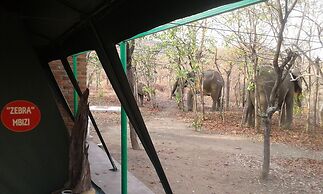 Warthogs Safari Camp