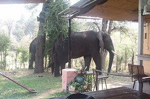 Warthogs Safari Camp