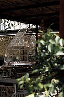 Le Saint Remy