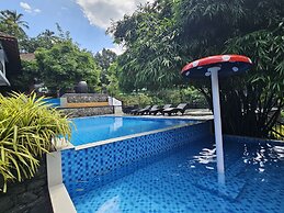 Athirapilly Green Trees