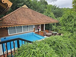 Athirapilly Green Trees