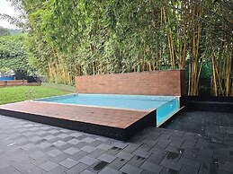 Athirapilly Green Trees