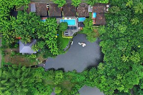 Athirapilly Green Trees