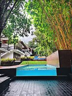 Athirapilly Green Trees