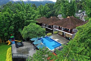 Athirapilly Green Trees