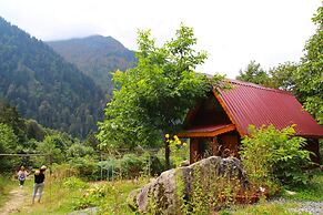 Ayder Selale Dag Evi