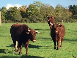 La Musardine en Vexin