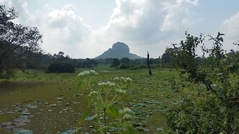 Fairview Dill homestay