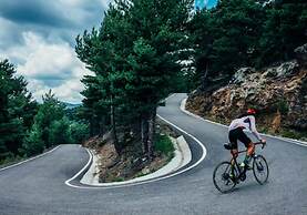 Mountain Hostel Tarter